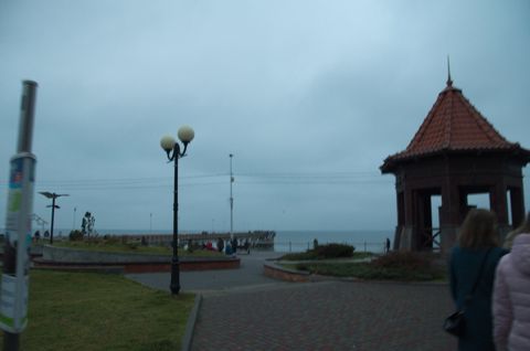 97.jpg