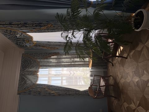 IMG_7311.jpeg