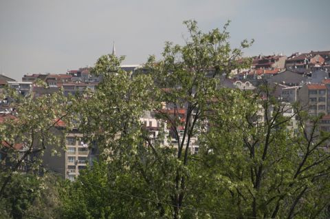 072.jpg