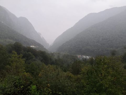 071.jpg