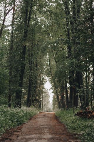 63.jpg