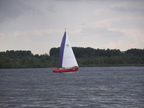 48.jpg