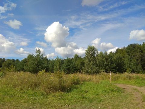 059.jpg
