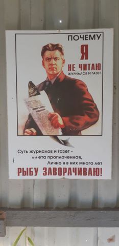 147.jpg