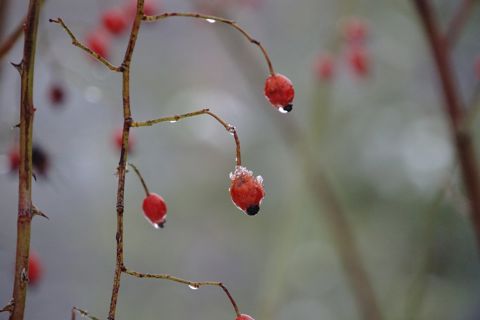 53.jpg