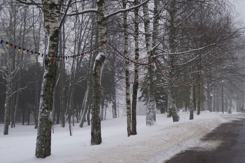 54.jpg