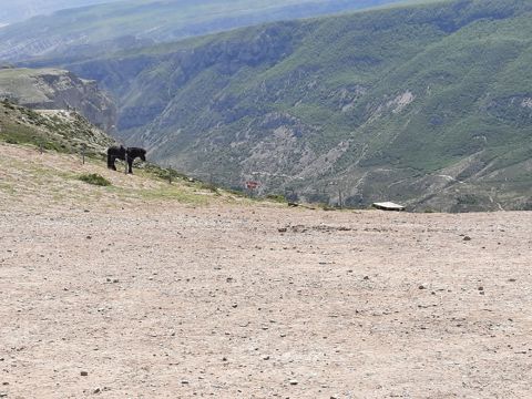 073.jpg