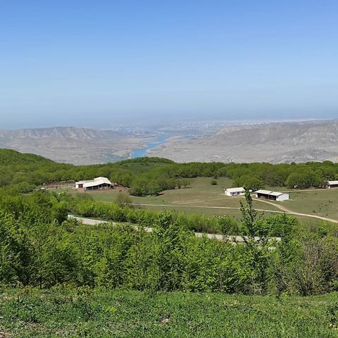 109.jpg