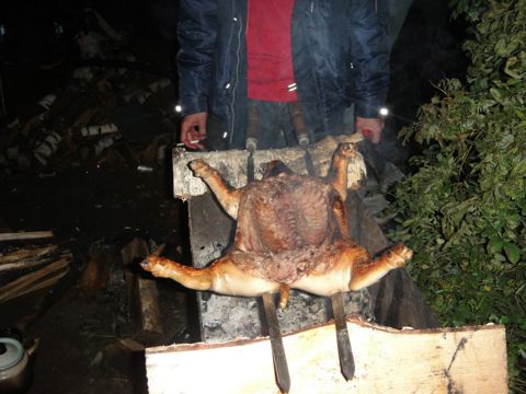 26.jpg