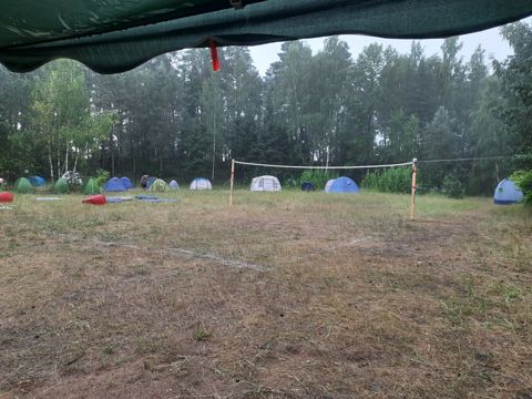 039.jpg
