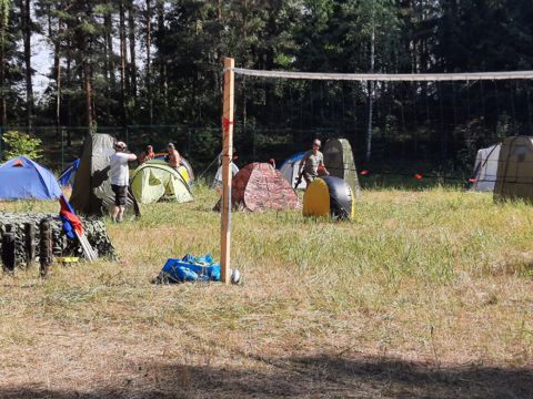 175.jpg