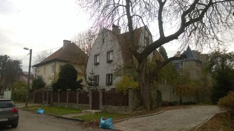 38.jpg