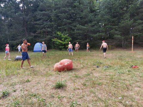 041.jpg