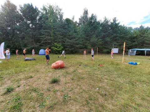 042.jpg