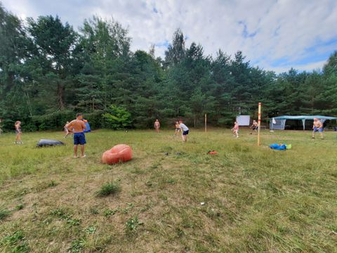 045.jpg
