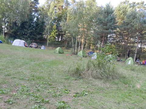 010.jpg