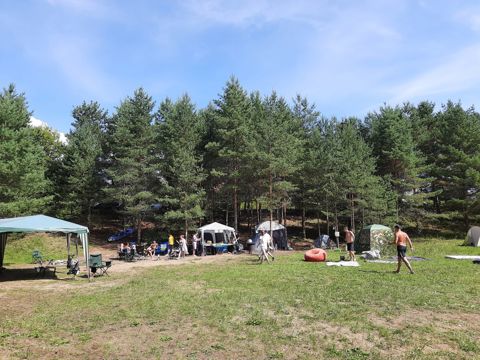 040.jpg