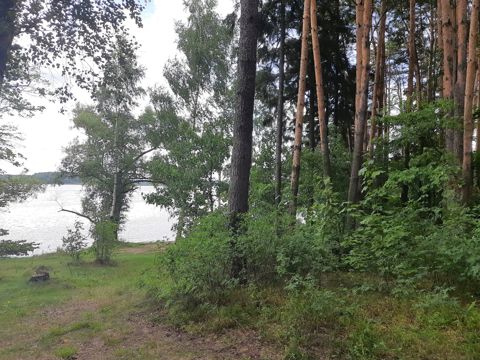 045.jpg