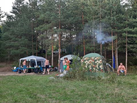 085.jpg