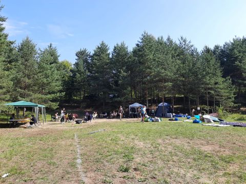 096.jpg