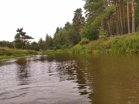 035.jpg