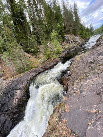 48.jpg