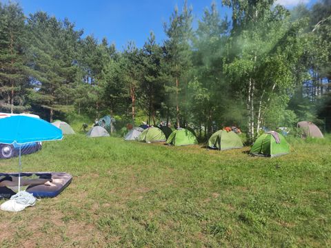 010.jpg