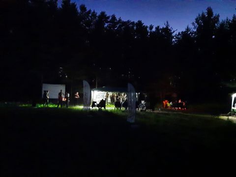 041.jpg