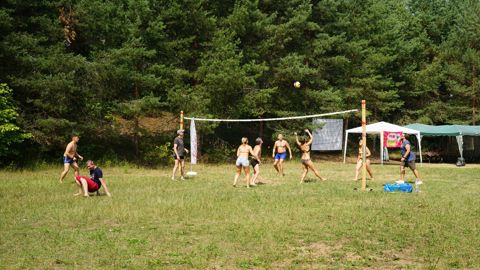 043.jpg