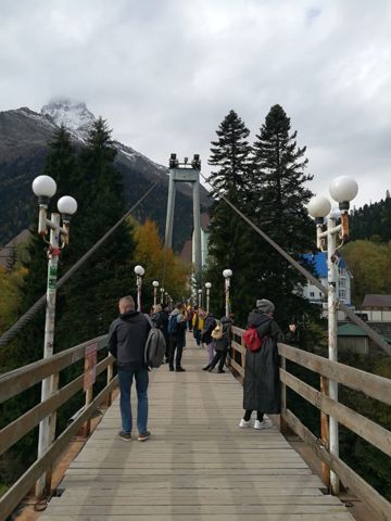 141.jpg