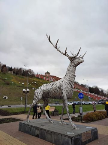 59.jpg