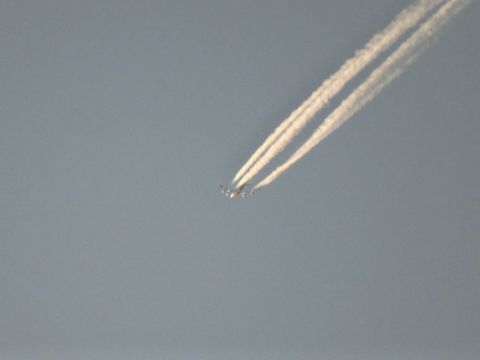 58m-g4ZRAMG3bWhZ3MJUaQ_bi9tWme7hQcm898GHzwCKpFf-hanLIjwtZV5WzMIOIP6fdlN0.jpg