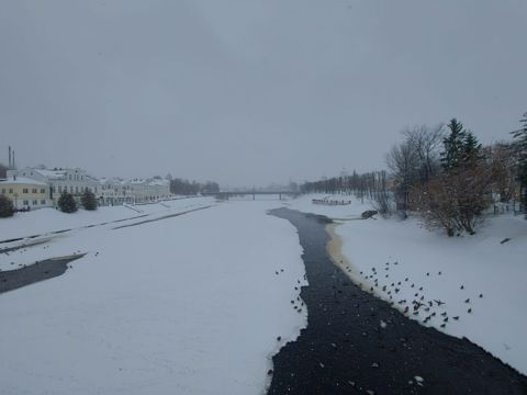76.jpg