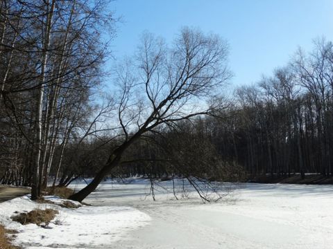 25.jpg
