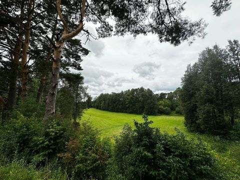 080.jpg