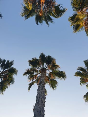 042.jpg