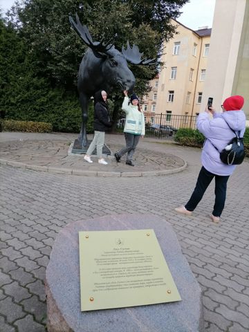 105.jpg