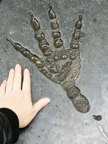 118.jpg