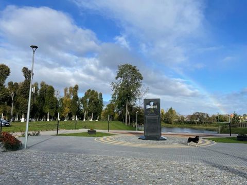 124.jpg