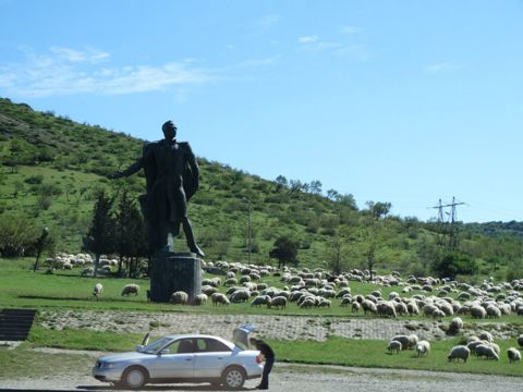 116.jpg
