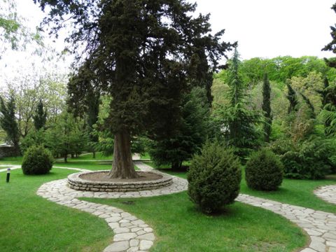 130.jpg