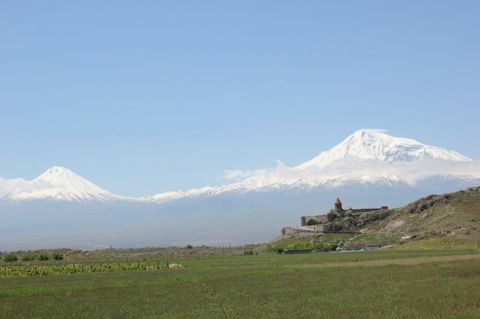 184.jpg
