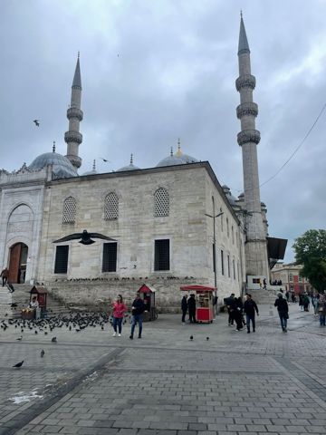 197.jpg