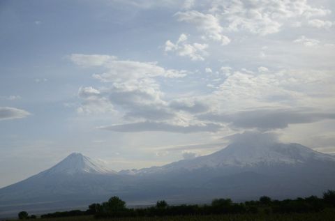 201.jpg