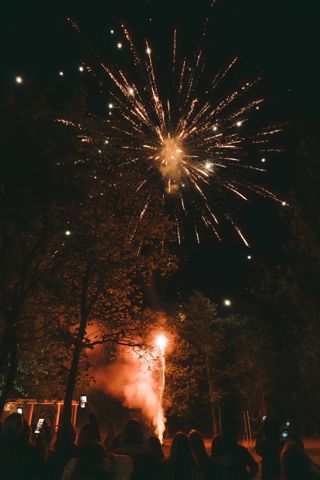 221.jpg