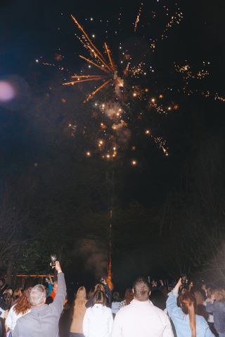 223.jpg