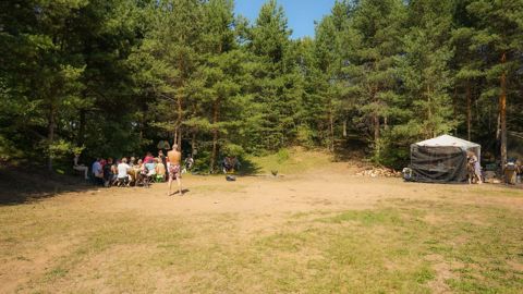 110.jpg