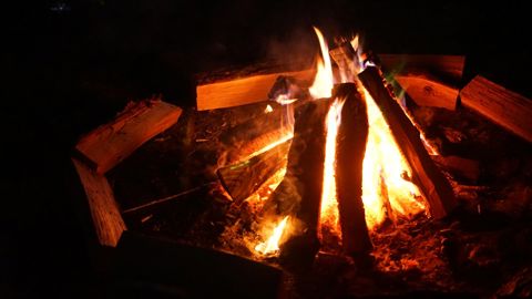 358.jpg