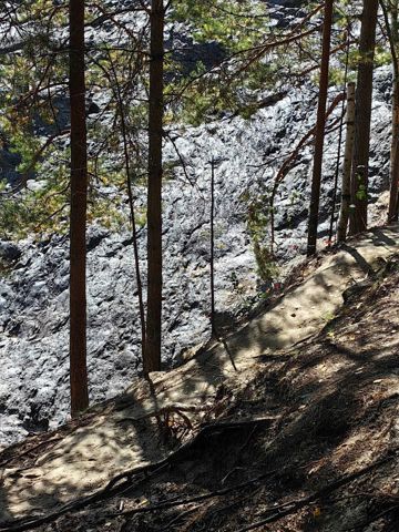 154.jpg