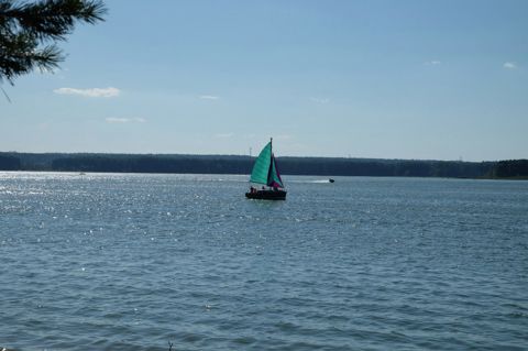 05.jpg